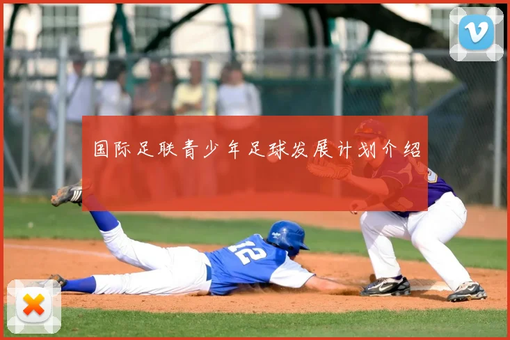 国际足联青少年足球发展计划介绍